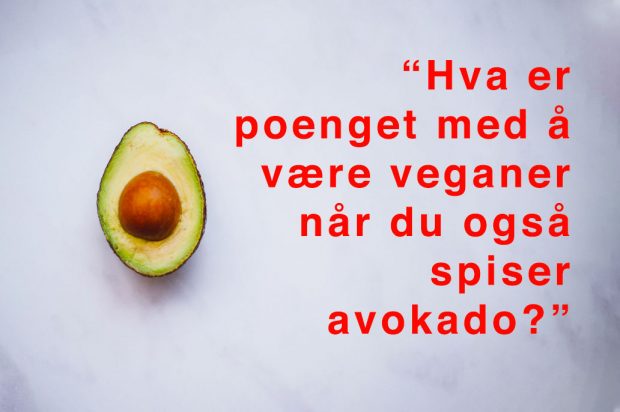 Bilde av avokado med teksten "Hva er poenget med å være veganer når du også spiser avokado?"